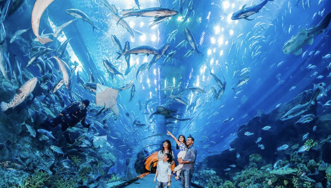 Aquarium